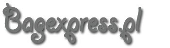 Logo sklepu Bagexpress